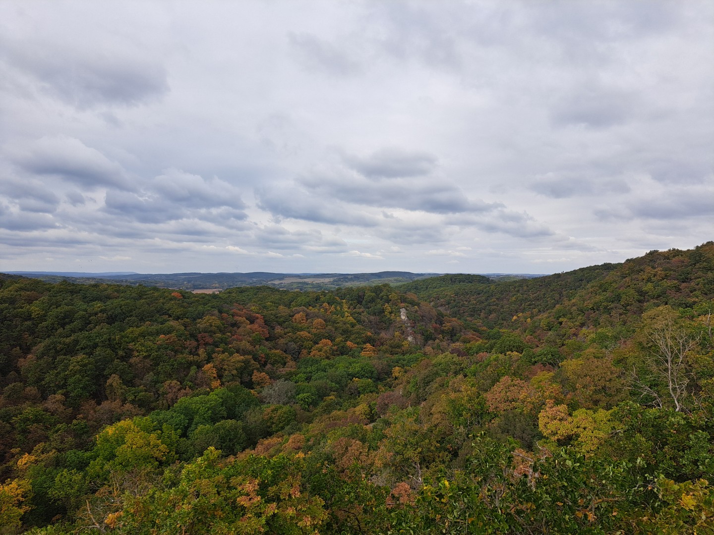 Hike photo 5